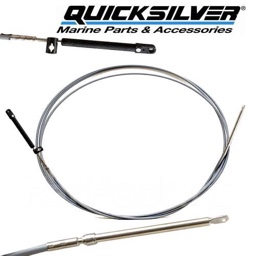 CABLE T/S G2 38FT